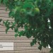 Сайдинг Ю-Пласт TIMBERBLOCK Пихта (Тимберблок) Cахалинская купить в Челябинске