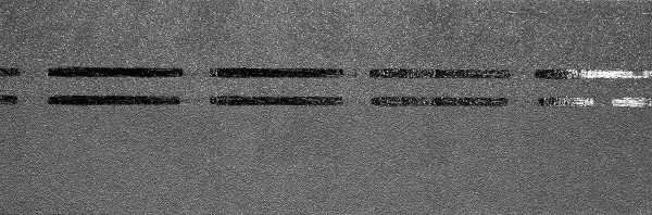 Коньково-карнизная черепица Docke Premium, черника купить в Челябинске