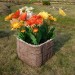 Цветник КАНЬОН купить в Челябинске