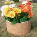 Цветник КАНЬОН купить в Челябинске